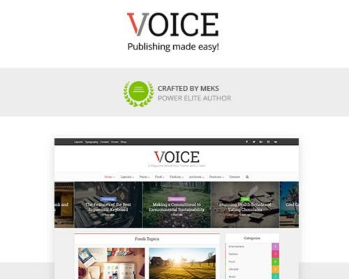 Voice WordPress Theme Free Download